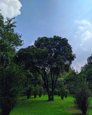 Foto de portafolio 1