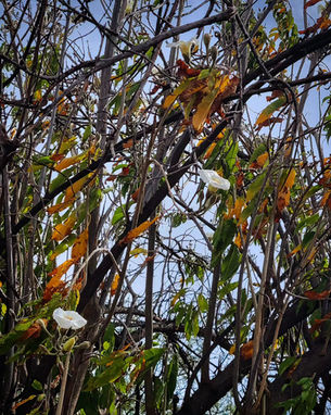 Foto de portafolio 5